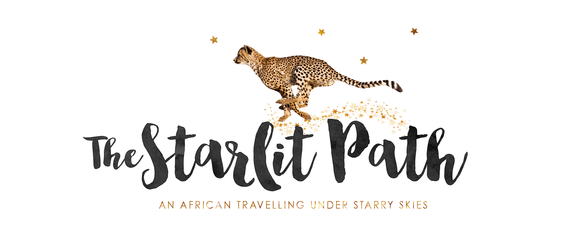 The Starlit Path An African Travelling Under Starry Skies