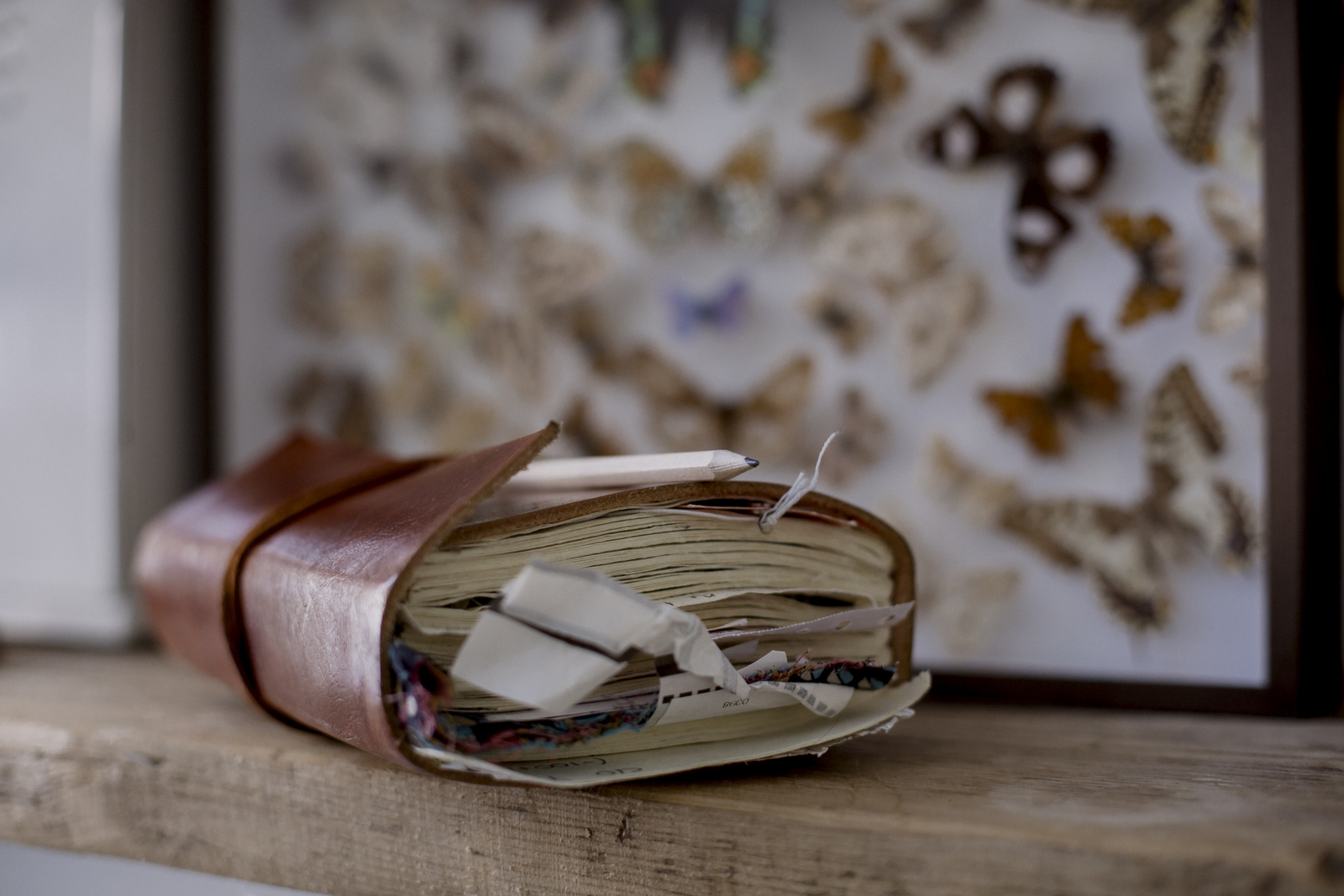 Which Entrepreneur Are You?