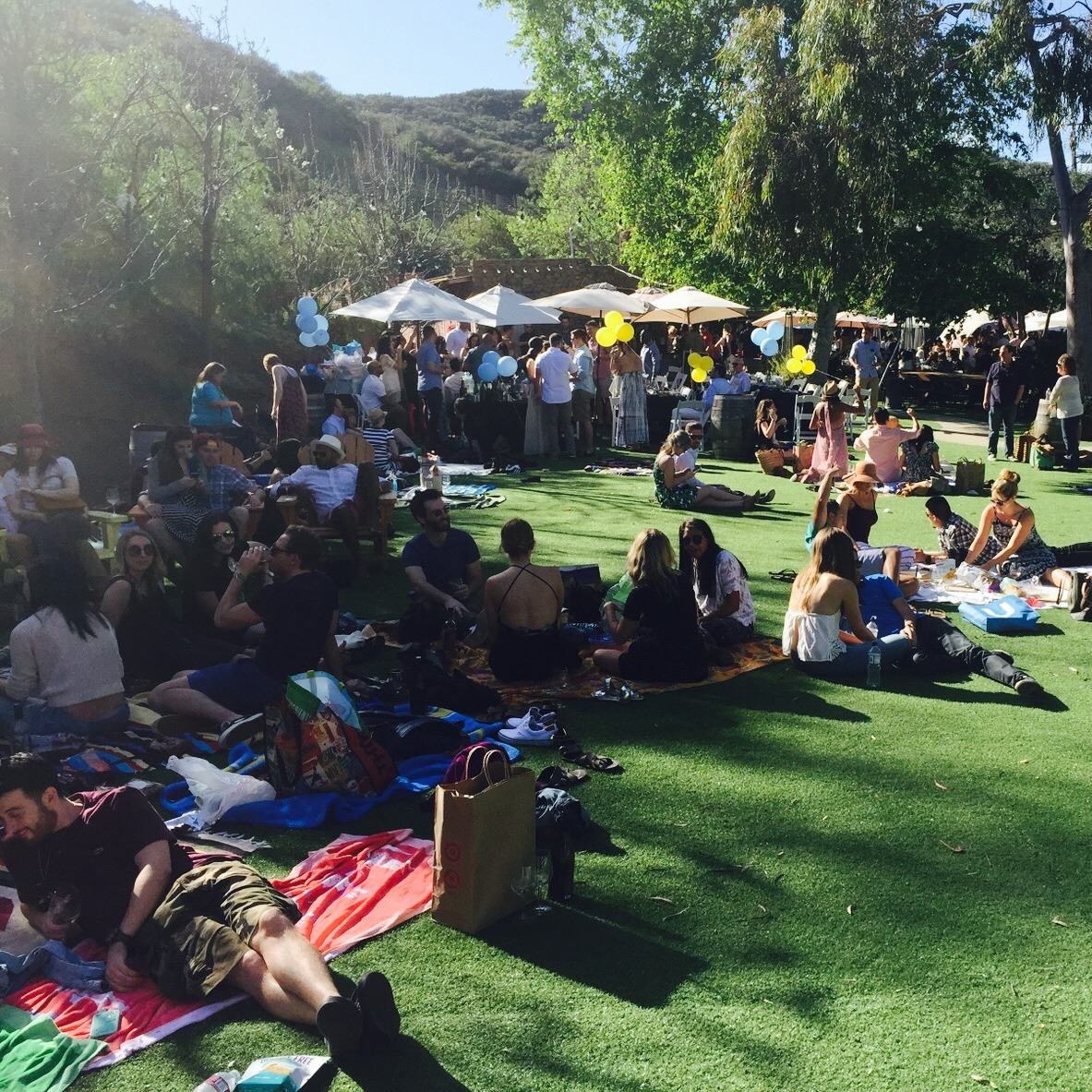 Eat LA: Malibu Wines