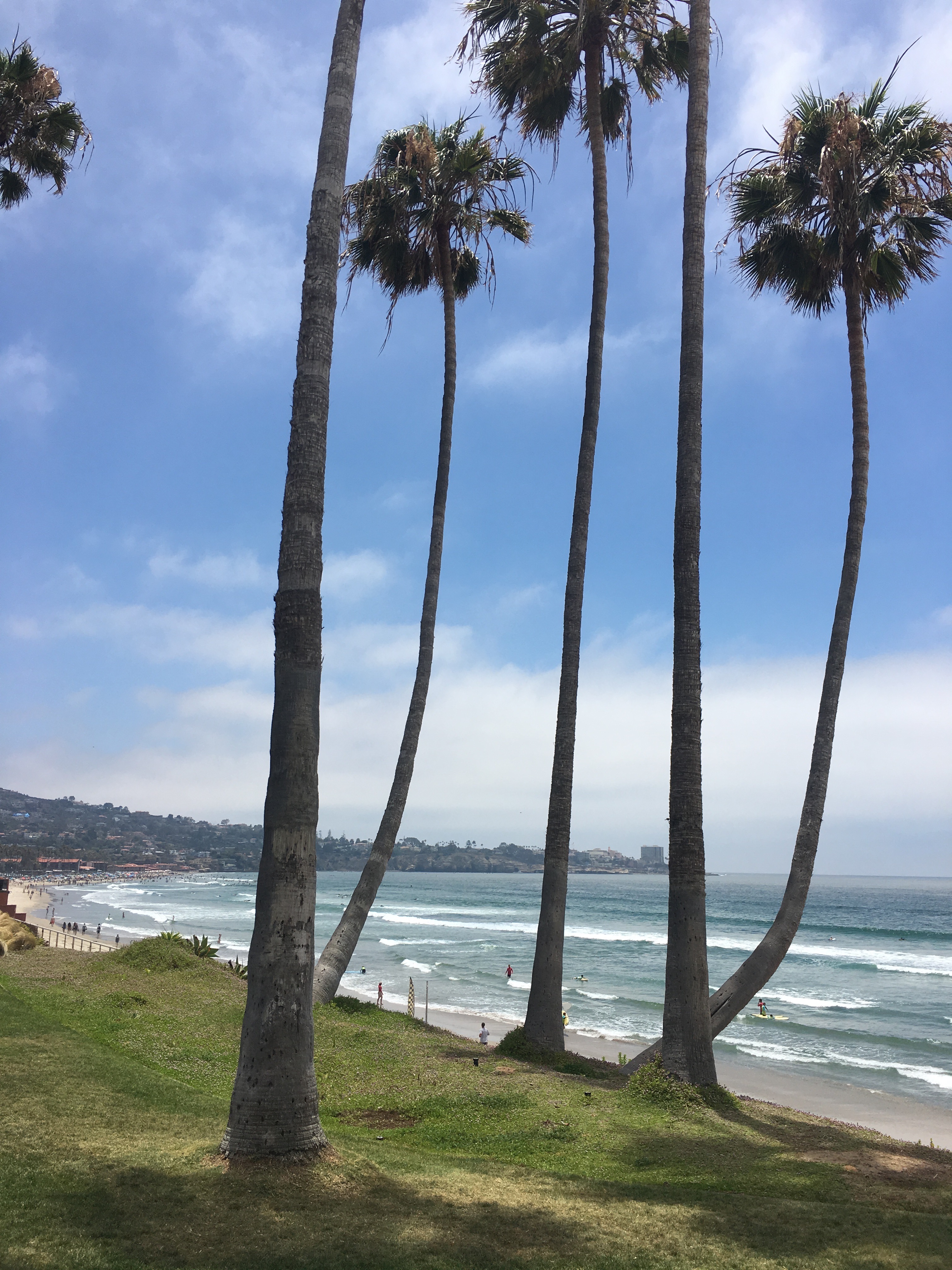 Restaurants To Try in San Diego