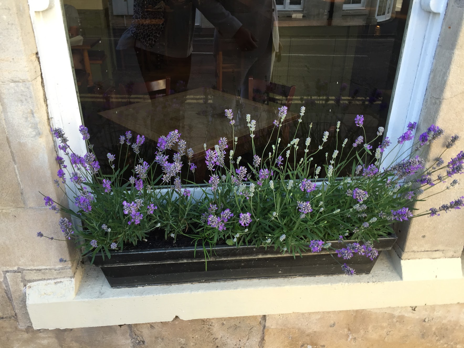 5-times Tour de France winner, Eddy Merckx, at the MAD Charity Function