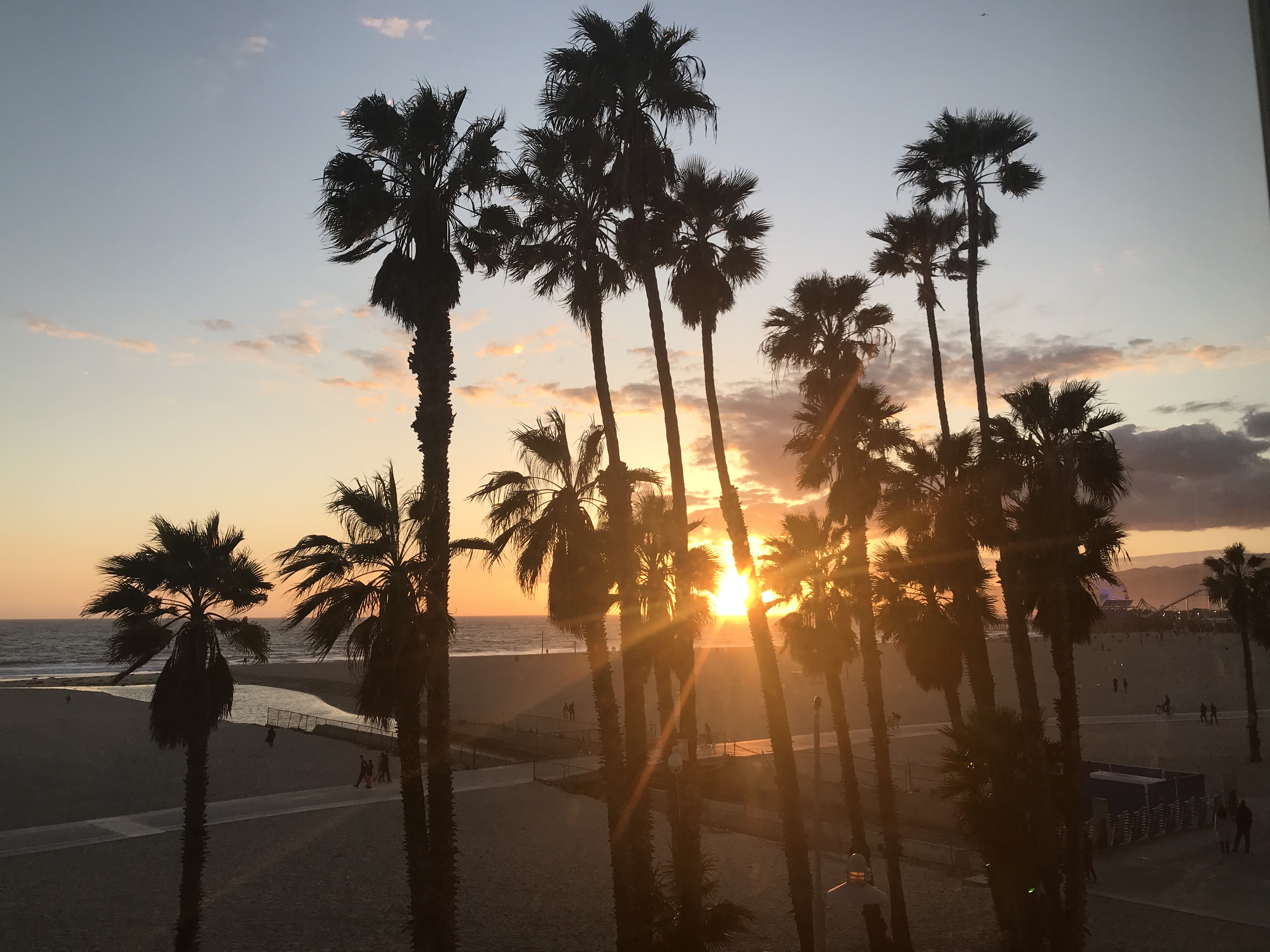 Top 5 Things To Do in LA!