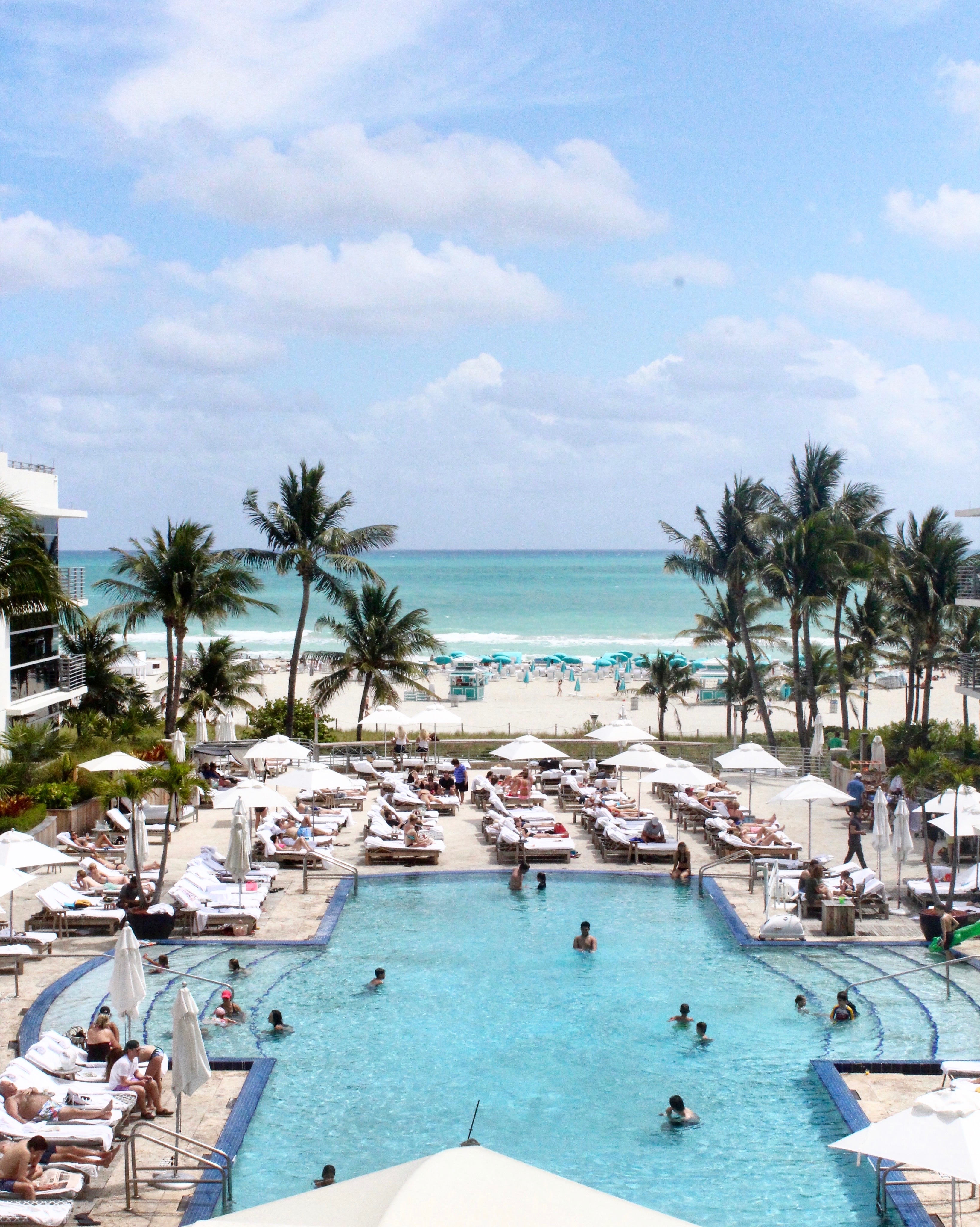 Plan Your Trip To Miami Now!