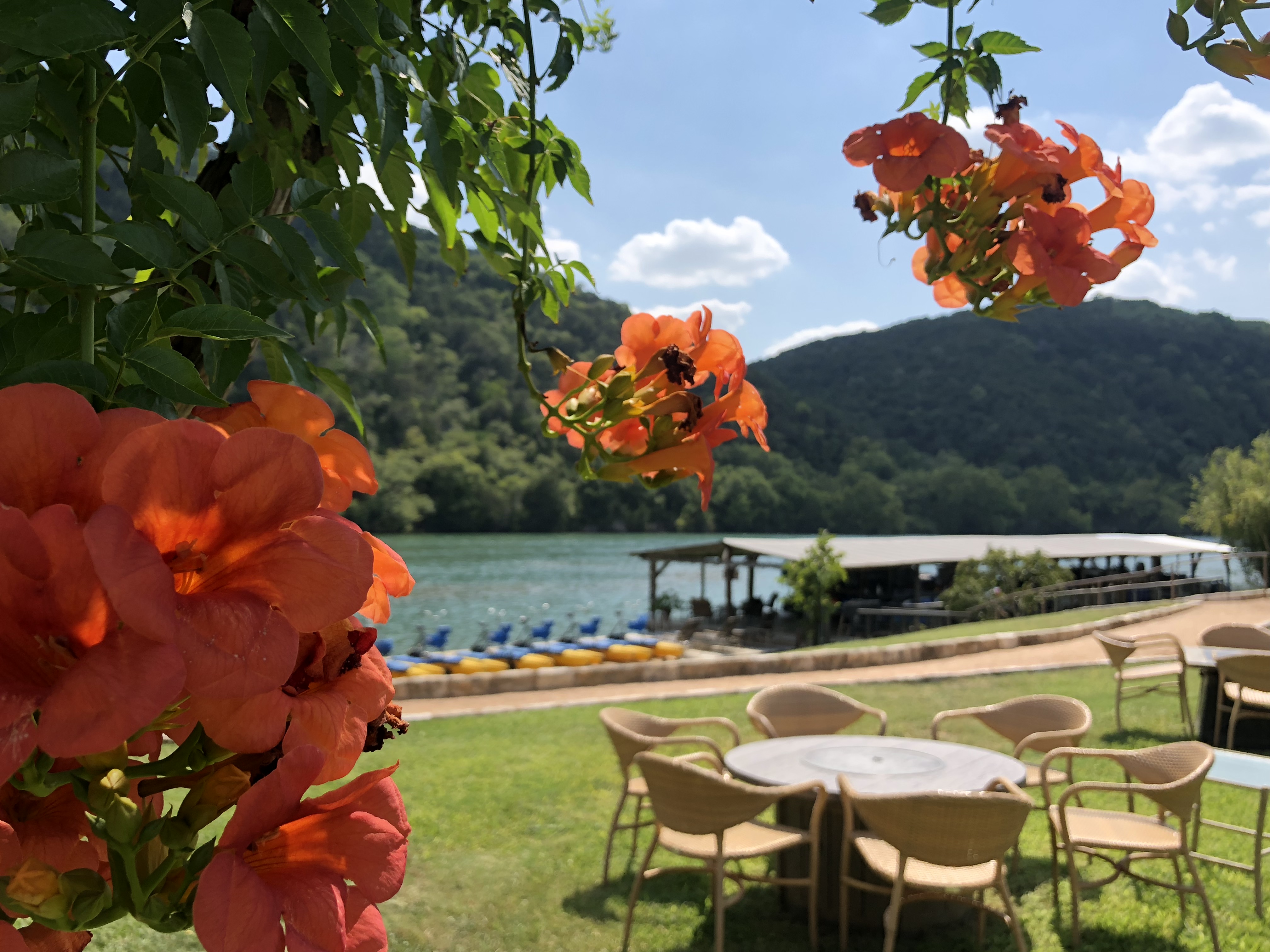 Tropical Paradise in The Heart of Austin