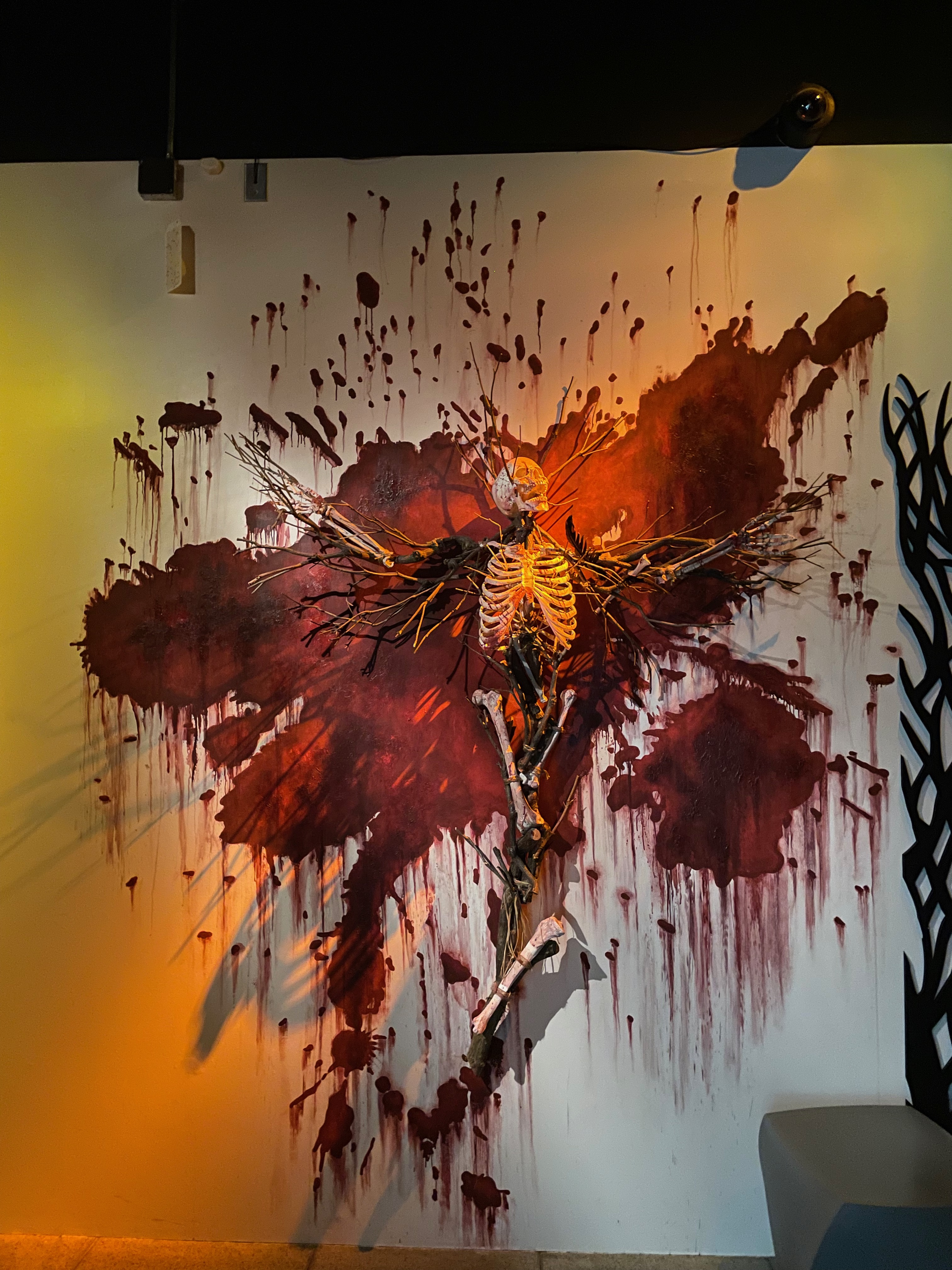 Found A Bloody Trail in Seattle…