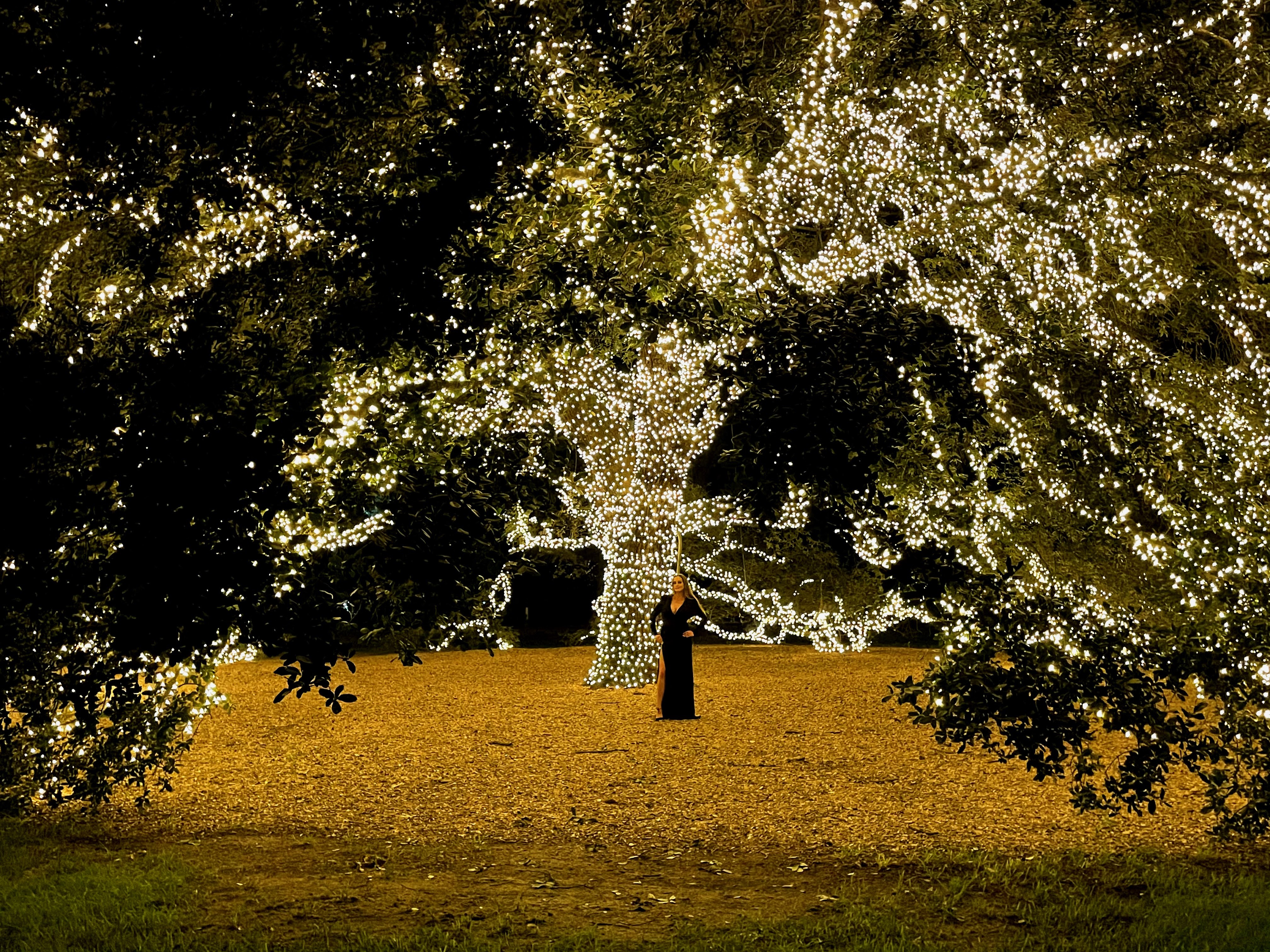 Magic at the Symphony: Houston’s Opening of the Season