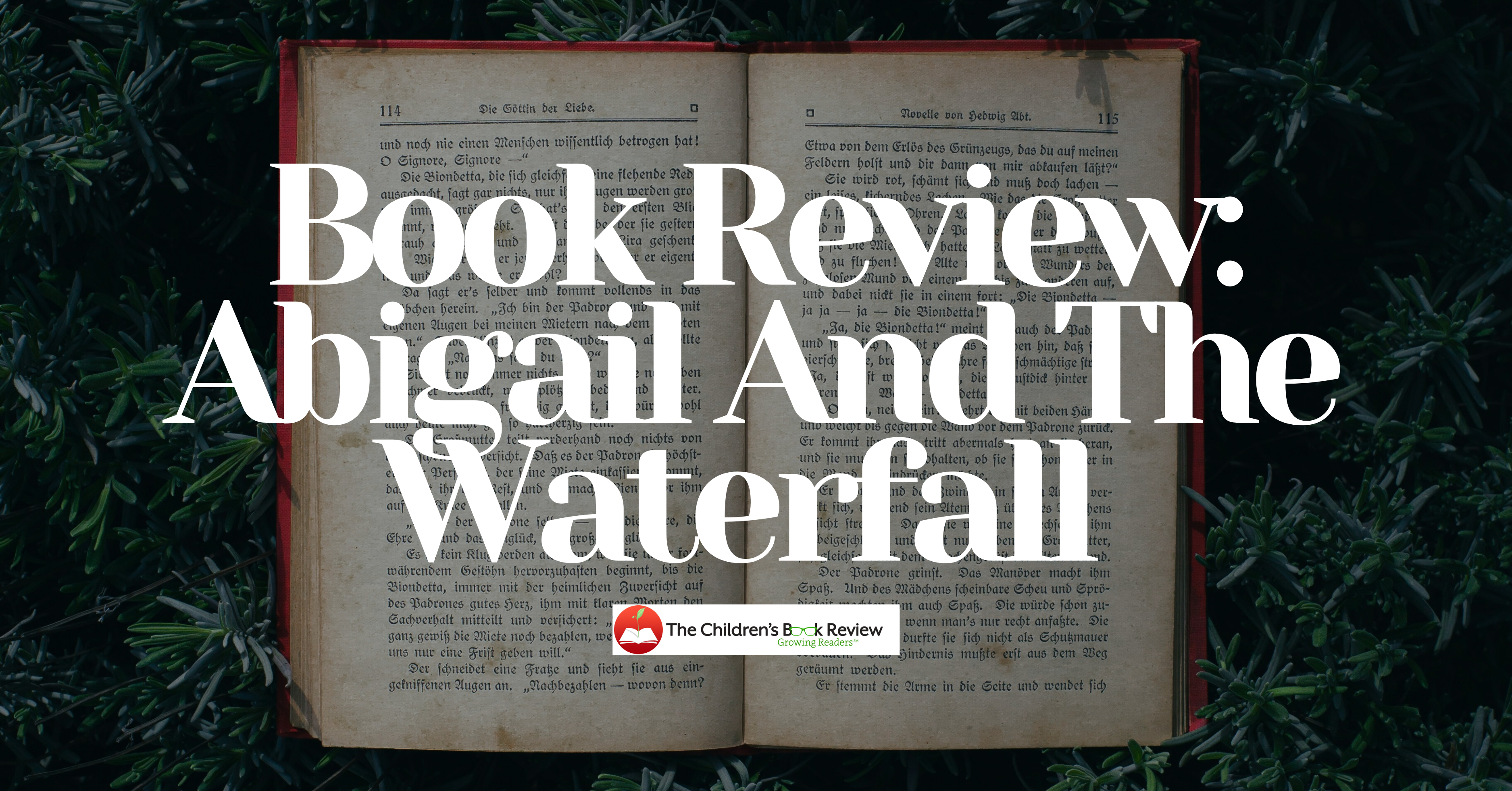 Book Review: Abigail and the Waterfall