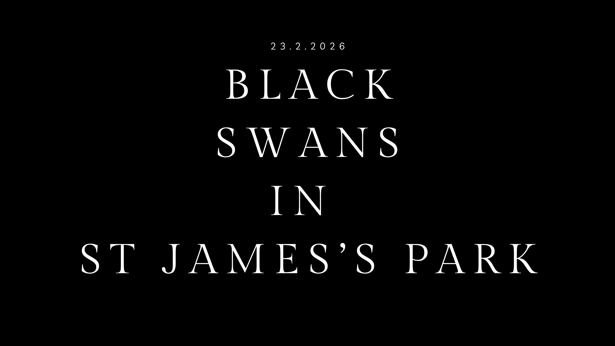 black swans in st james park