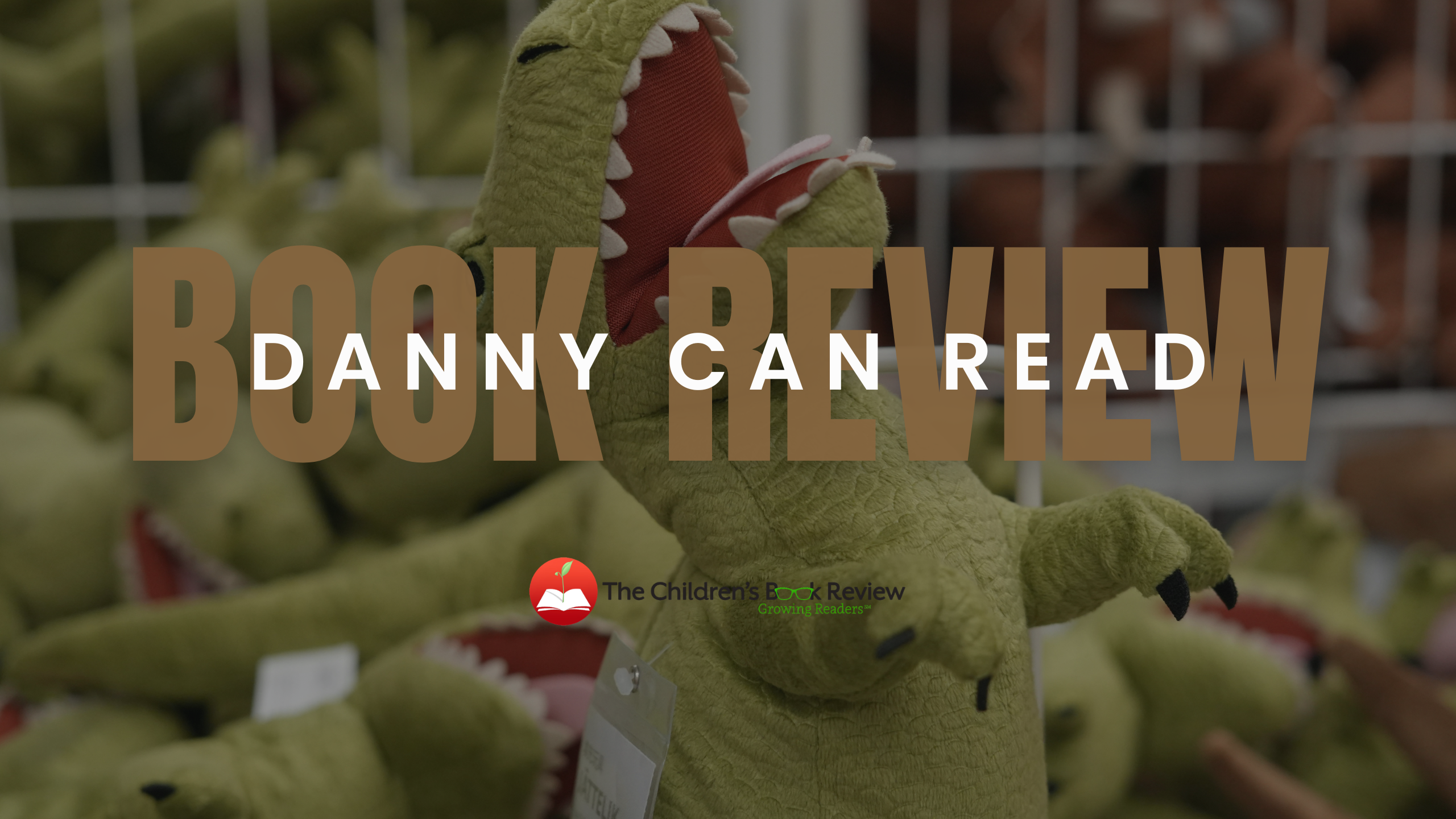 Book Review: Danny Sabe Leer / Danny Can Read